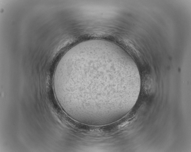 X0000089360591200707061051