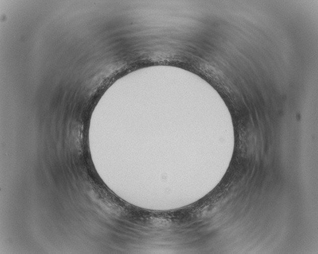 X0000089360592200707061051