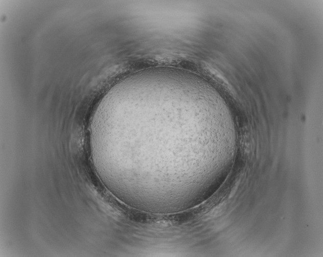 X0000089360593200707061051