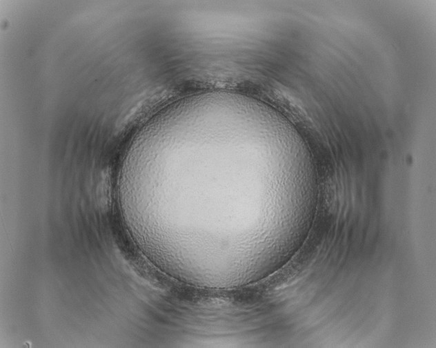 X0000089360594200707061051