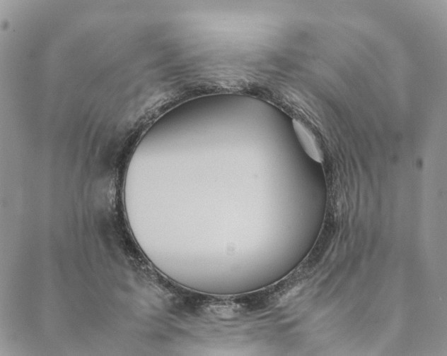 X0000089360595200707061051