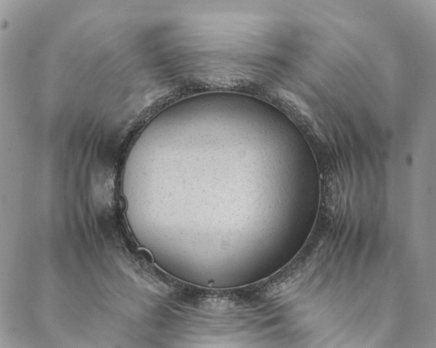 X0000089360596200707061051