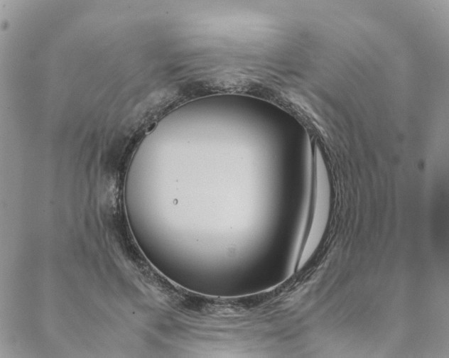 X0000089360597200707061051