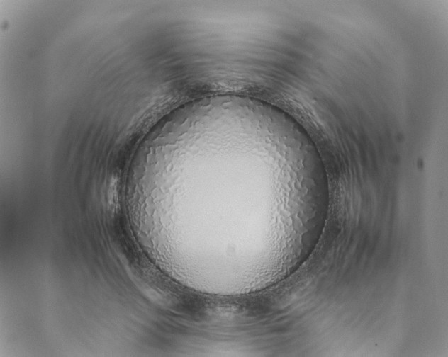 X0000089360598200707061051