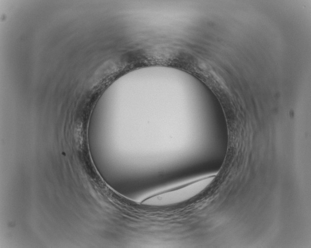 X0000089360599200707061051