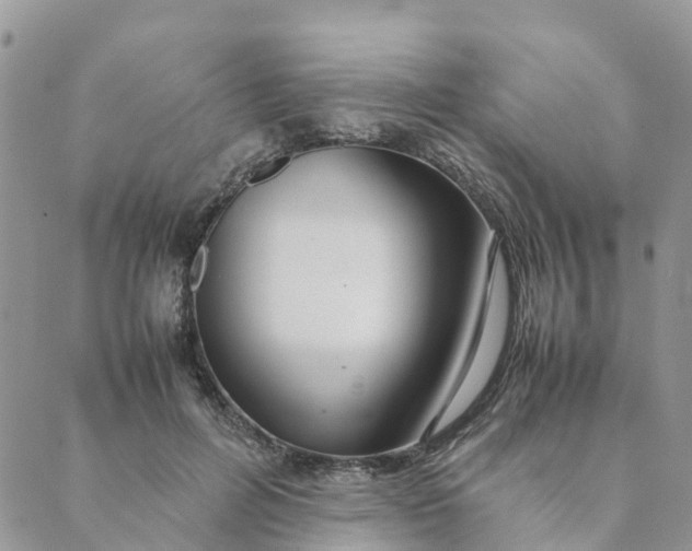 X0000089360600200707061051