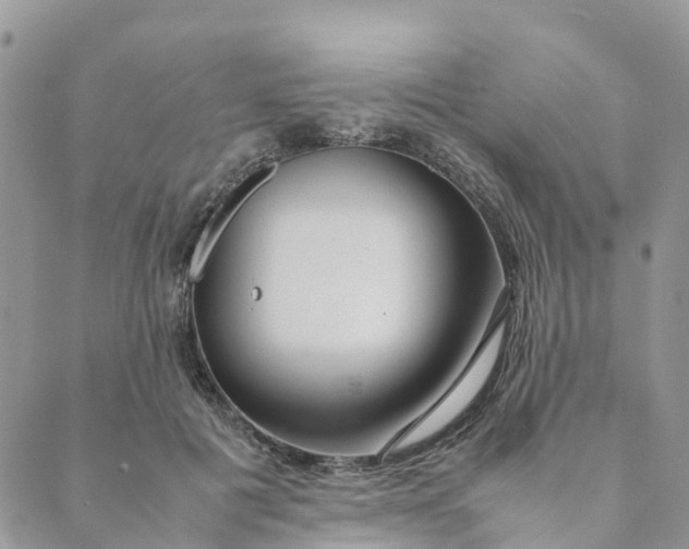 X0000089360601200707061051