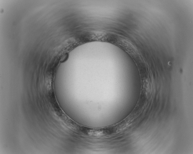 X0000089360602200707061051