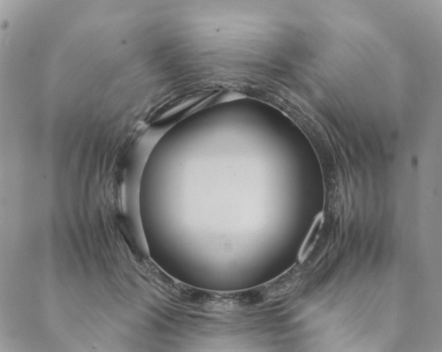 X0000089360604200707061051