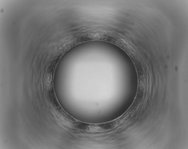 X0000089360605200707061051