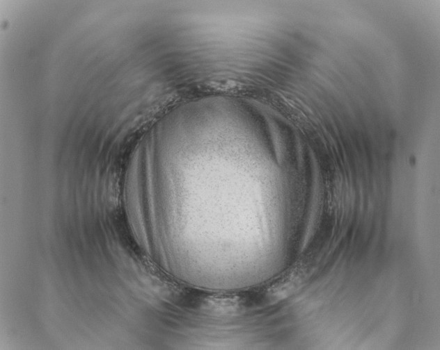 X0000089360606200707061051