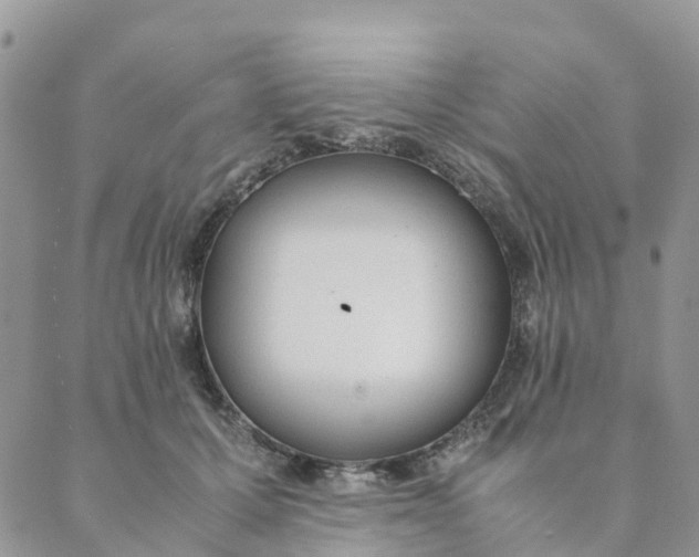 X0000089360607200707061051