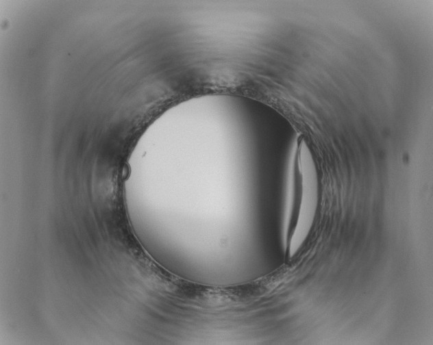 X0000089360608200707061051