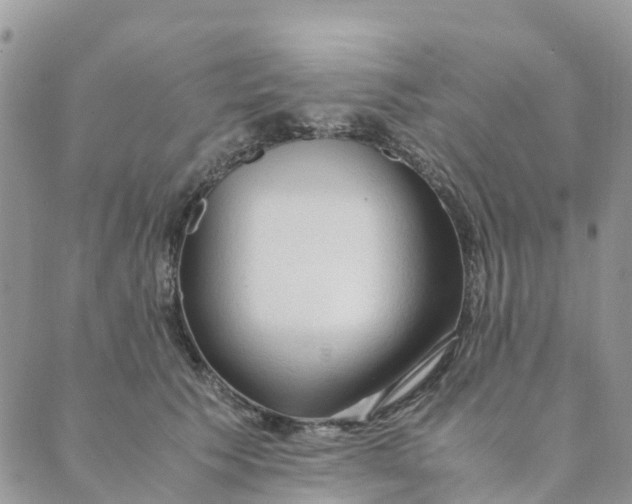 X0000089360609200707061051