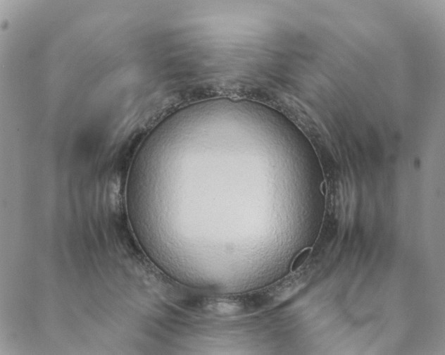 X0000089360610200707061051