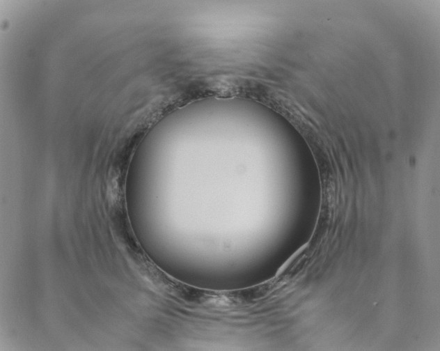 X0000089360611200707061051