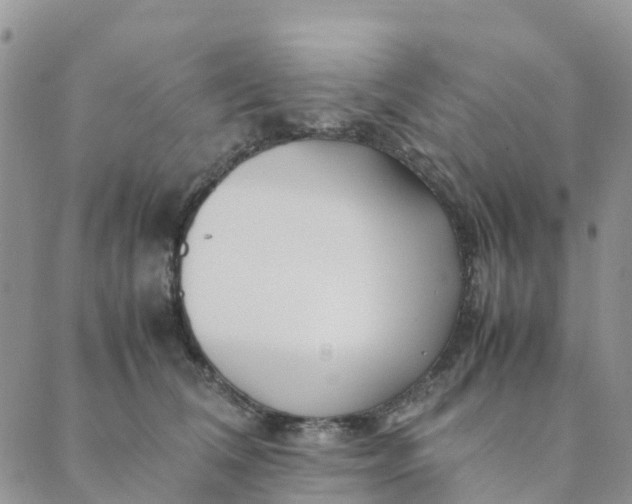 X0000089360612200707061051