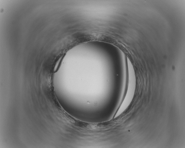 X0000089360613200707061051