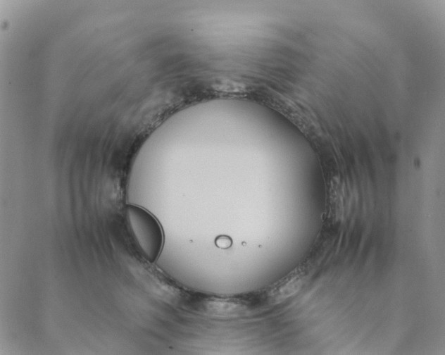 X0000089360614200707061051