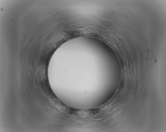 X0000089360615200707061051