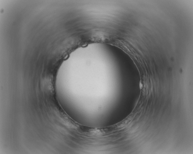 X0000089360616200707061051