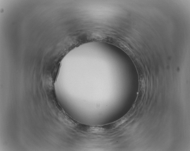 X0000089360617200707061051