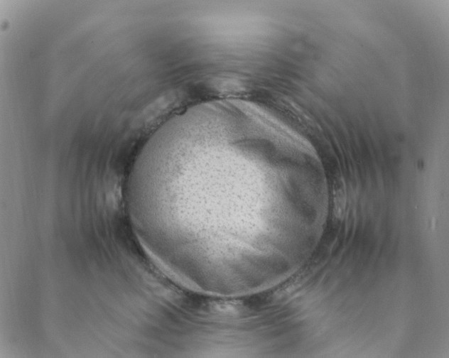 X0000089360618200707061051