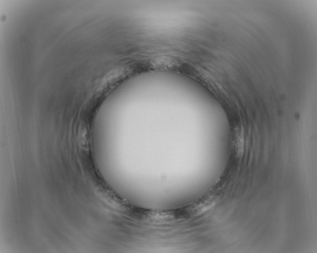 X0000089360619200707061051