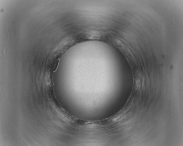 X0000089360620200707061051