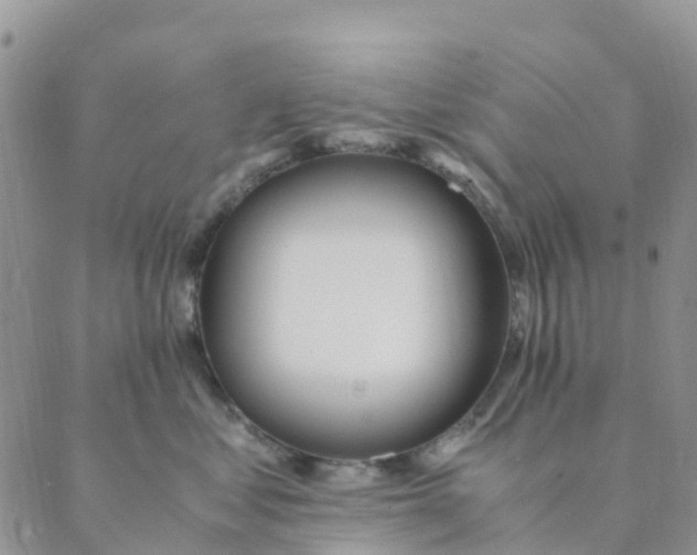 X0000089360621200707061051