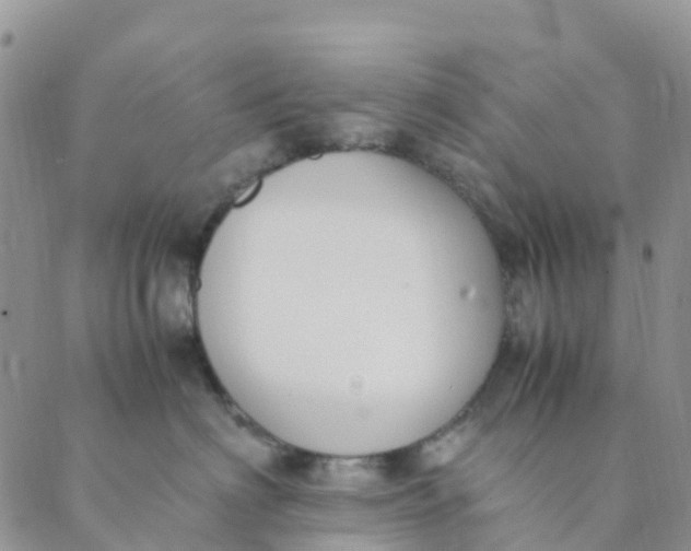 X0000089360622200707061051