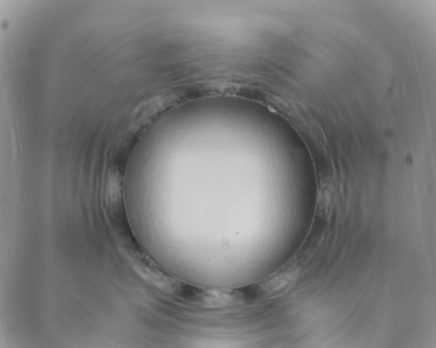 X0000089360623200707061051