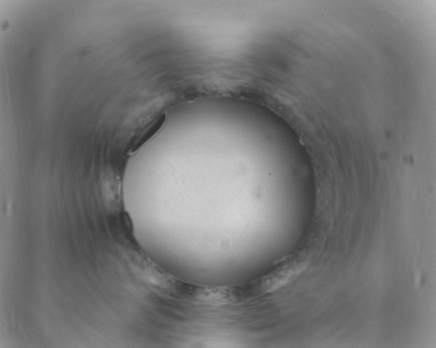 X0000089360624200707061051