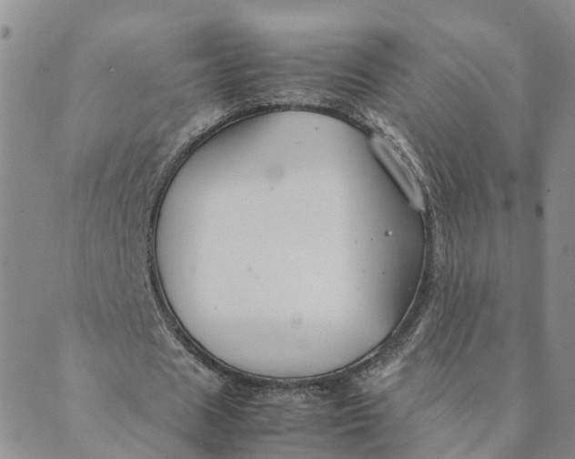 X0000089360625200707061050