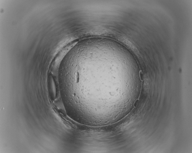 X0000089360626200707061050