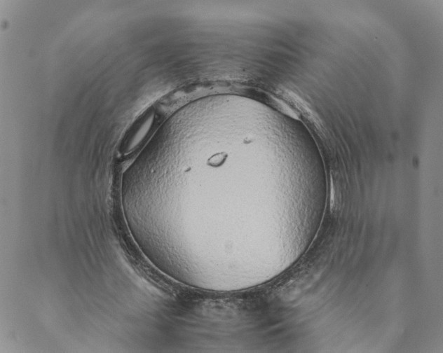 X0000089360627200707061050