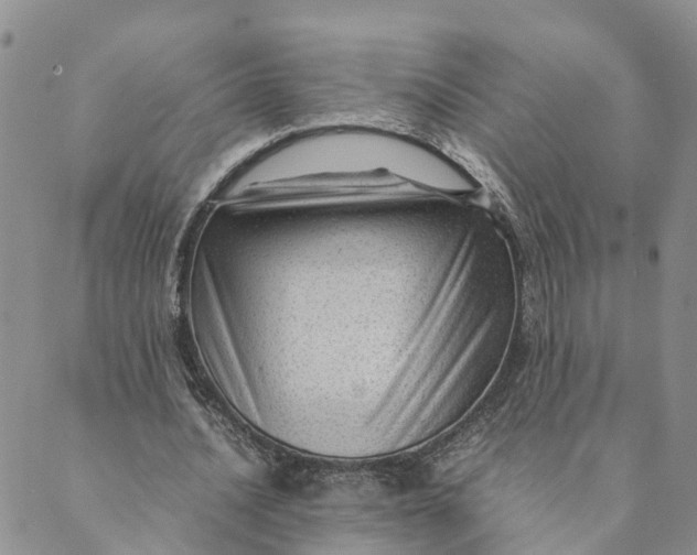 X0000089360628200707061050