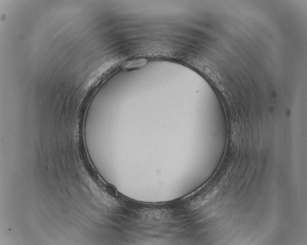 X0000089360629200707061050