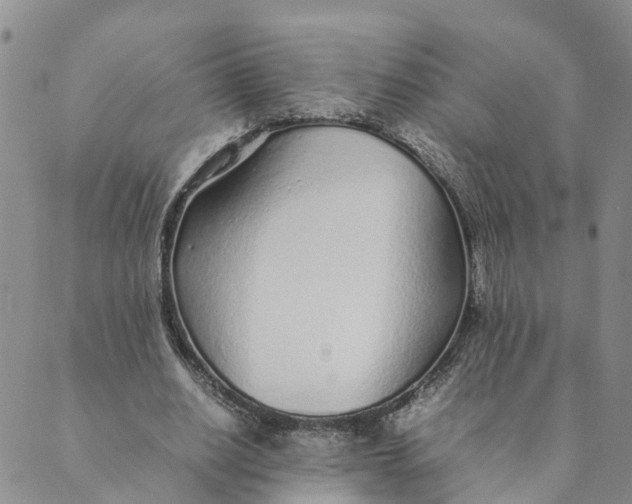 X0000089360630200707061050