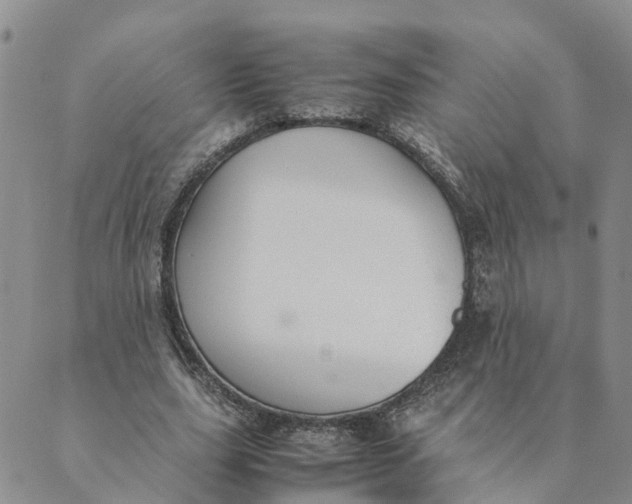 X0000089360631200707061050