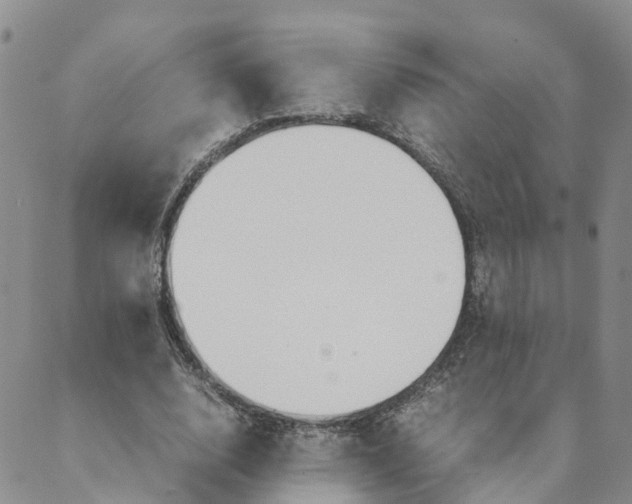 X0000089360632200707061050