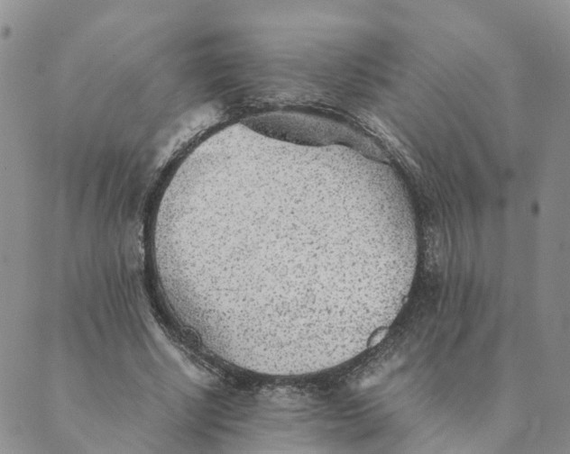 X0000089360634200707061050