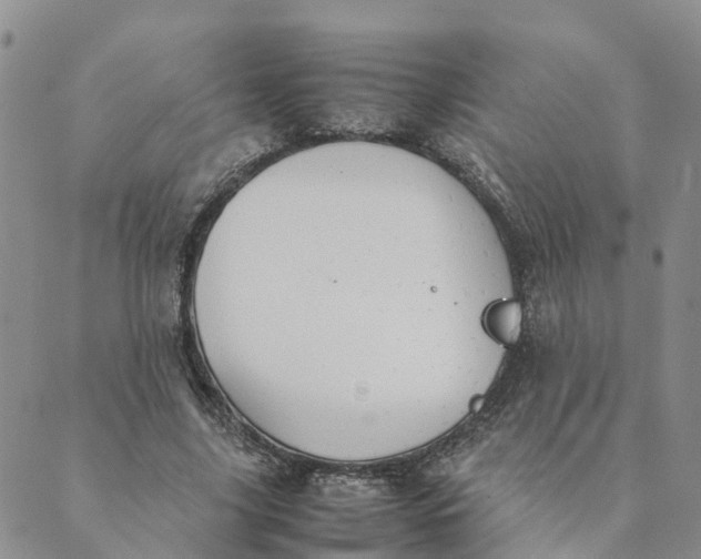 X0000089360635200707061050