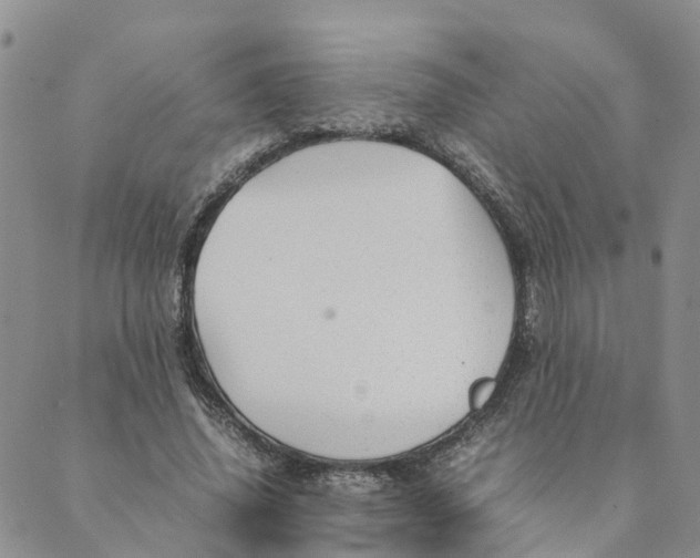 X0000089360636200707061050