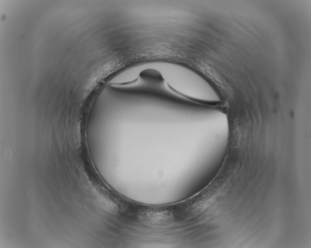 X0000089360638200707061050