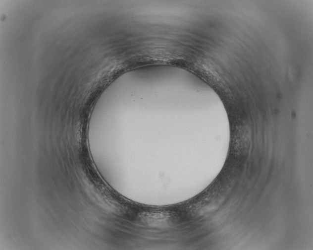 X0000089360639200707061050