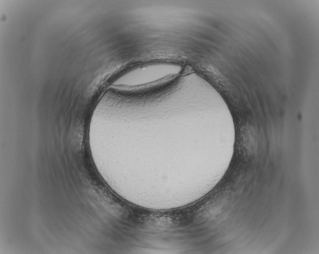 X0000089360640200707061050