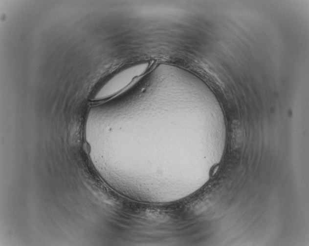 X0000089360641200707061050