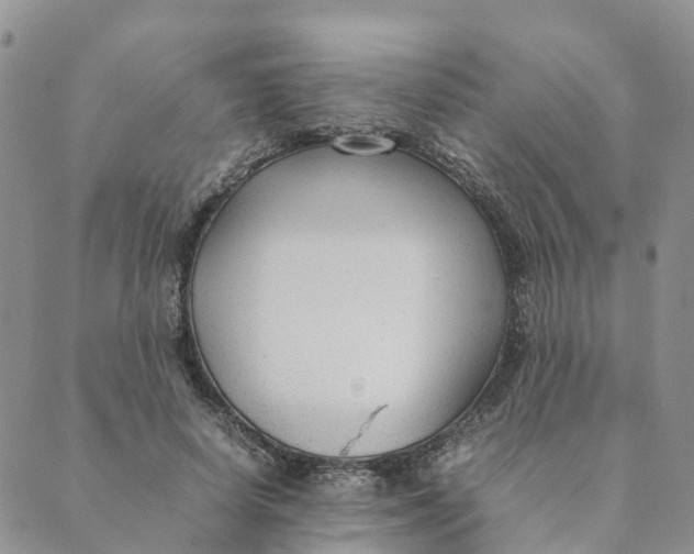 X0000089360642200707061050