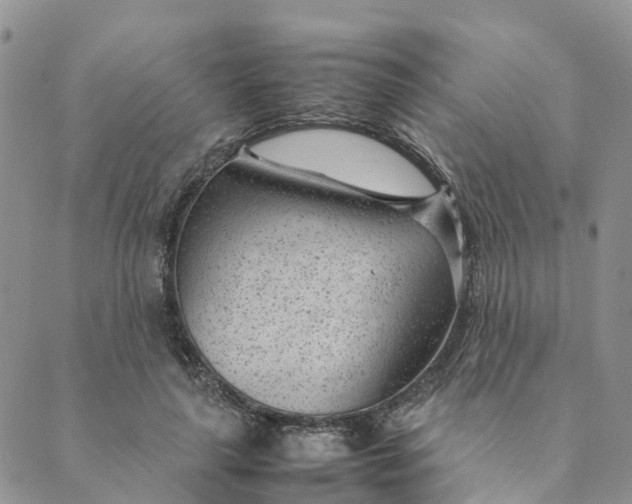 X0000089360643200707061050